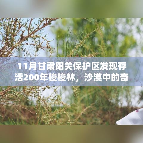 广告制作 第362页