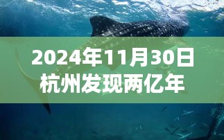 揭秘两亿年前杭州鲨鱼化石，史前海洋霸主现身杭州！