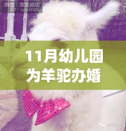 设计印刷 第376页