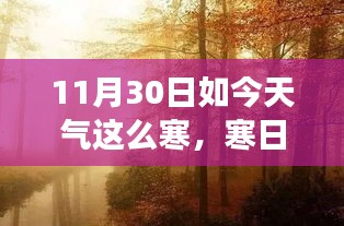 喷绘写真 第374页