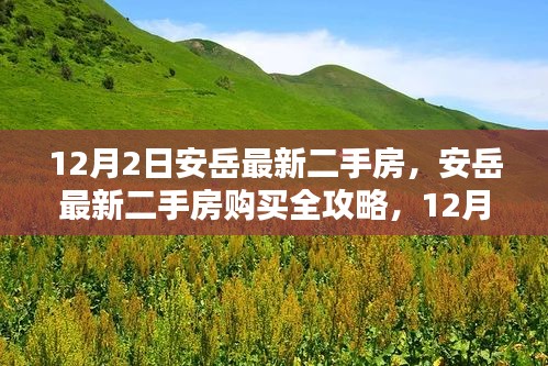 设计印刷 第368页