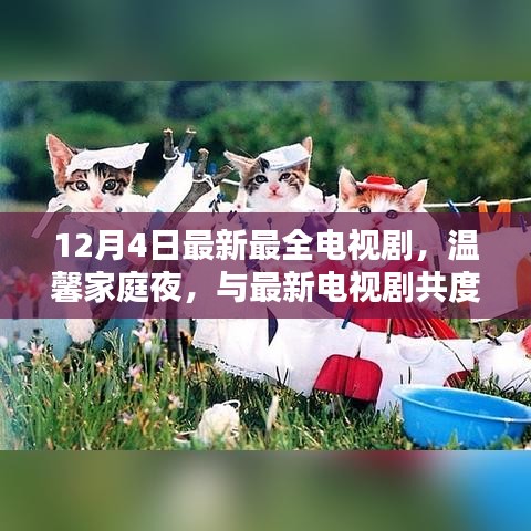 12月4日最新电视剧集结，温馨家庭夜共赏美好时光