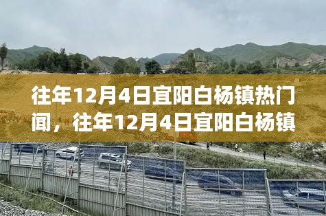刚毅木讷 第4页