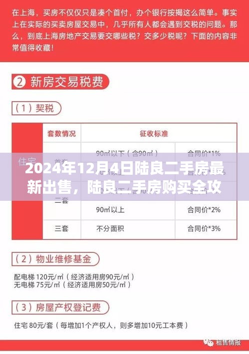 陆良二手房最新出售与购买全攻略，最新操作指南（2024年12月4日）