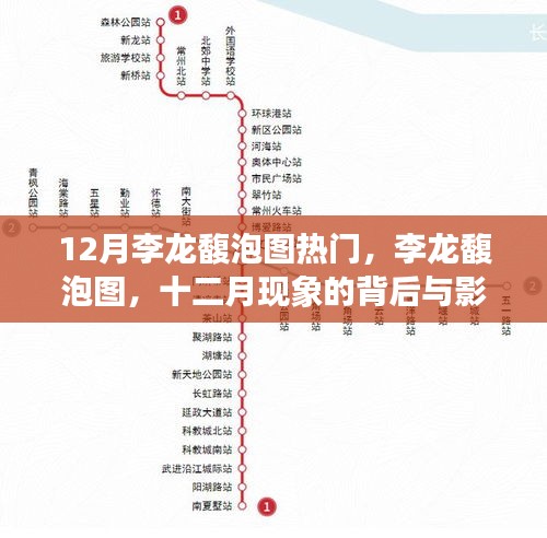 揭秘李龙馥泡图背后的十二月现象，影响与热议
