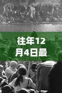 笨鸟先飞 第4页