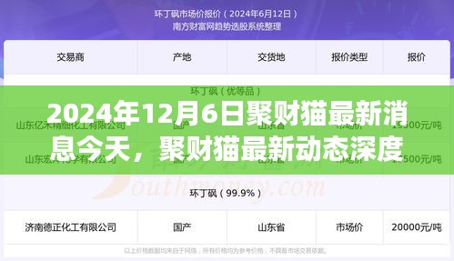 聚财猫最新动态深度评测，2024年12月6日全新解读与消息揭秘