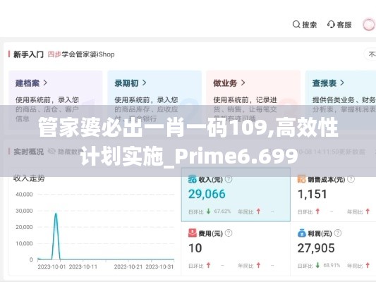 管家婆必出一肖一码109,高效性计划实施_Prime6.699