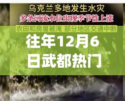笔走如飞 第3页