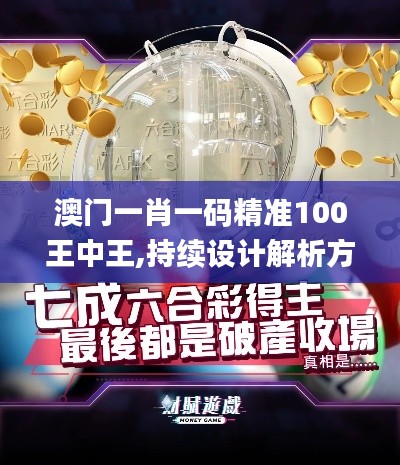 澳门一肖一码精准100王中王,持续设计解析方案_HDR8.976
