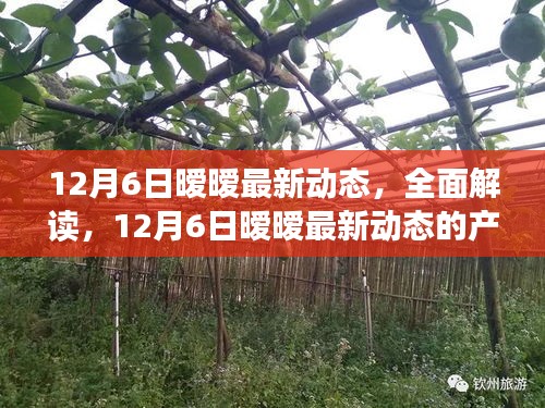 广告制作 第293页