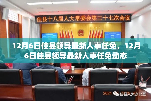 佳县领导人事任免动态更新，最新任免消息一览