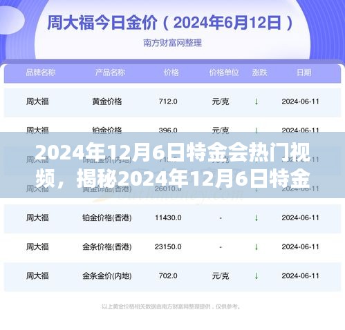 揭秘特金会热门视频，小红书带你探索背后的故事（日期标注）