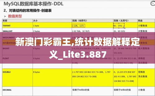 新澳门彩霸王,统计数据解释定义_Lite3.887