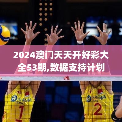 2024澳门天天开好彩大全53期,数据支持计划设计_XE版4.456