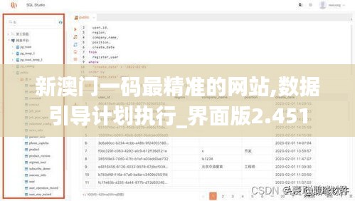 新澳门一码最精准的网站,数据引导计划执行_界面版2.451