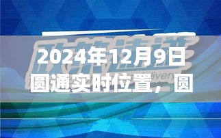 2024年视角，圆通实时位置追踪技术揭秘