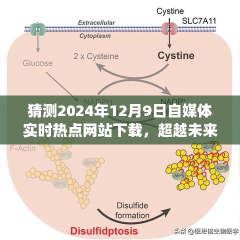超越未来，自媒体实时热点网站下的自我挑战与成长之旅（预测2024年12月9日）
