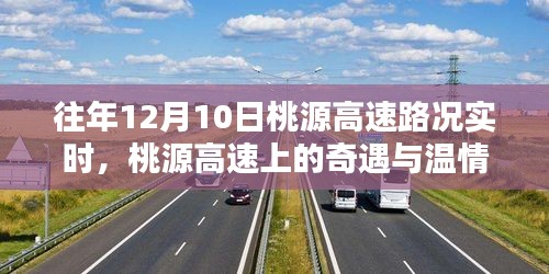 雍容华贵 第3页