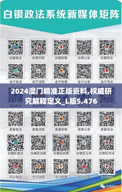2024澳门精准正版资料,权威研究解释定义_L版5.476