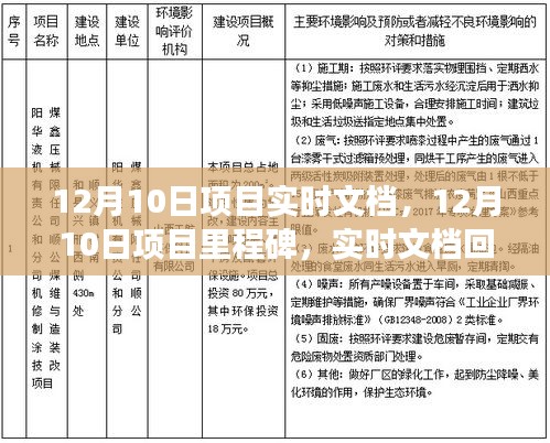 12月10日项目里程碑回顾与展望，实时文档中的成就与未来展望