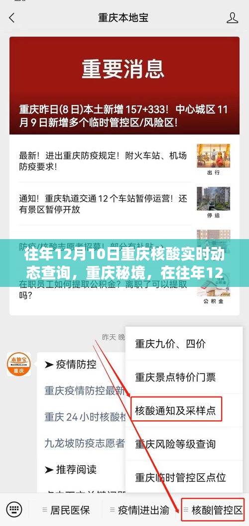 重庆秘境，历年12月10日核酸实时动态与自然奇遇查询
