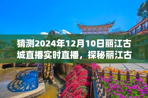 鸟云之阵 第3页