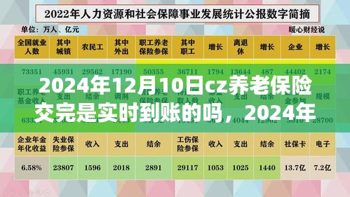 关于养老保险缴纳实时到账情况解析，聚焦2024年12月10日cz养老保险到账时间