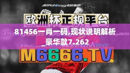 81456一肖一码,现状说明解析_豪华款7.262