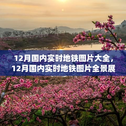 森久 第3页
