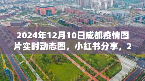 逸兴遄飞 第3页