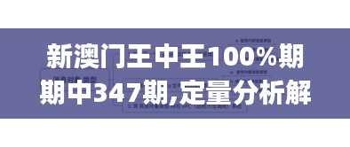 新澳门王中王100%期期中347期,定量分析解释定义_移动版110.103