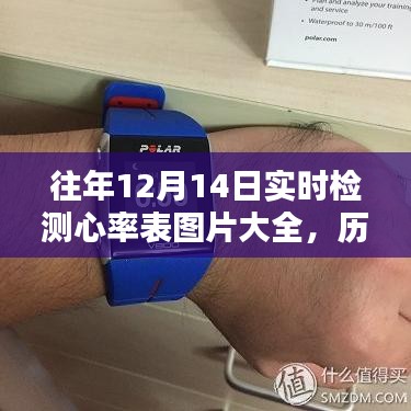 温柔敦厚 第3页