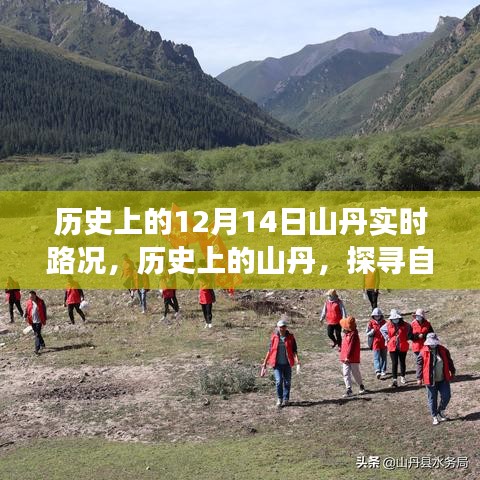 反朴归真 第3页