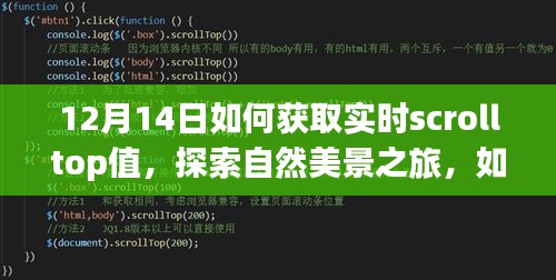 探索自然美景之旅，如何在冬日阳光下轻松获取滚动条实时位置，寻找内心的宁静与平和
