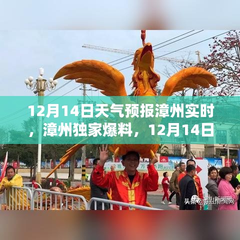 各就各位 第3页