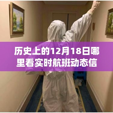 无影无踪 第3页