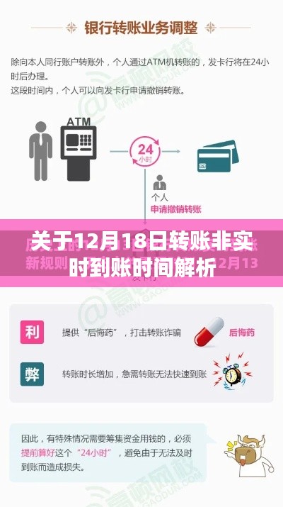 纲举目张 第2页