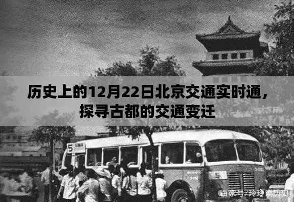 一花独放 第2页