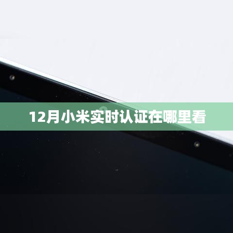 束装就道 第2页
