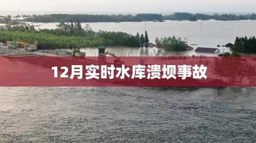飞龙在天 第2页