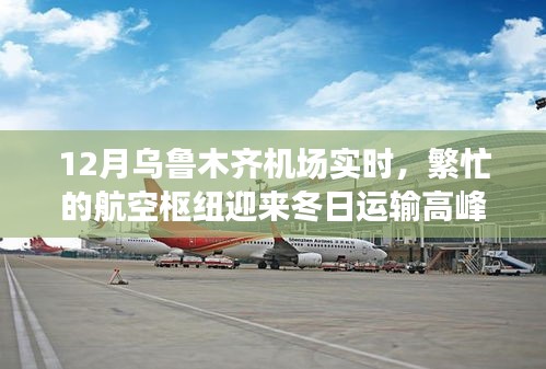 毛手毛脚 第2页