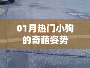 删繁就简 第2页