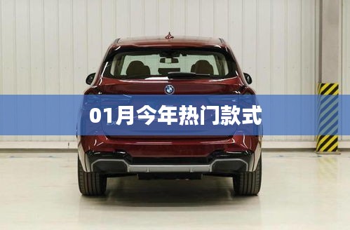 今年一月流行款式盘点