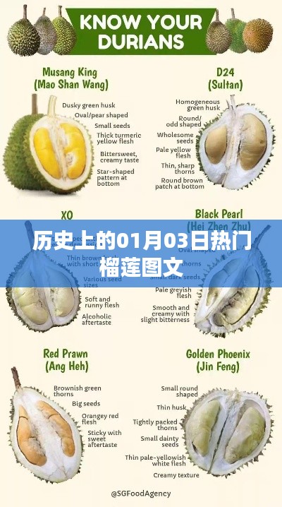 笔走龙蛇