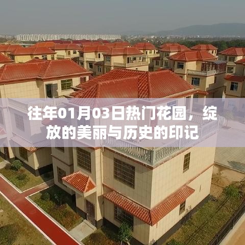花园盛开之美与历史印记，一月三日盛况回顾