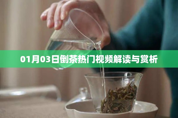 环肥燕瘦 第2页