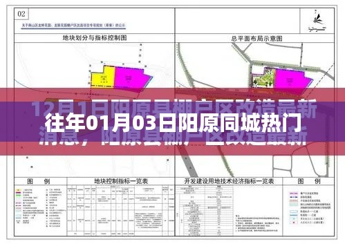 阳原同城历年一月初热门活动盘点