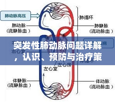 贵阴贱璧 第2页