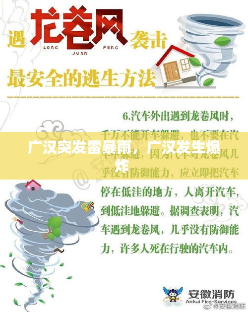 雍容华贵 第2页
